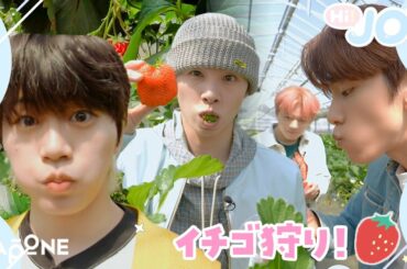 [Hi! JO1] EP.14🍓イチゴ狩り対決🍓前編