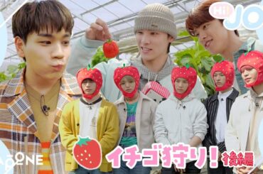 [Hi! JO1] EP.15🍓イチゴ狩り🍓後編