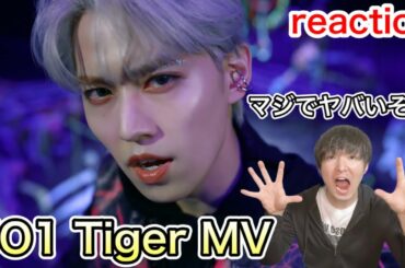 【JO1 Tiger MV reaction】めっちゃカッコいい！！めっちゃ沼る！！