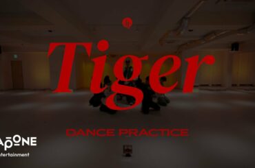 JO1｜'Tiger’  PRACTICE VIDEO