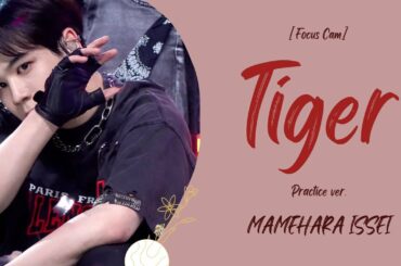 [Focus Cam] Tiger Practice ver. -Mamehara Issei (豆原一成） #jo1 #豆原一成